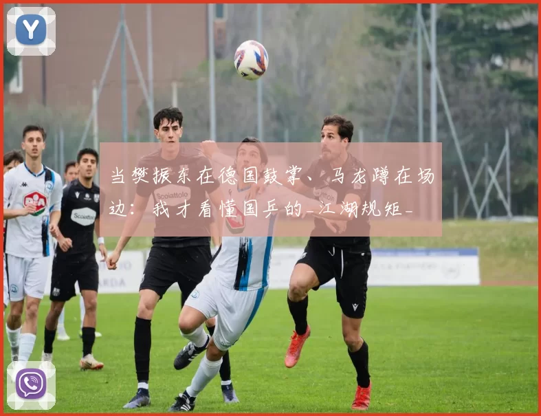 当樊振东在德国鼓掌、马龙蹲在场边：我才看懂国乒的_江湖规矩_