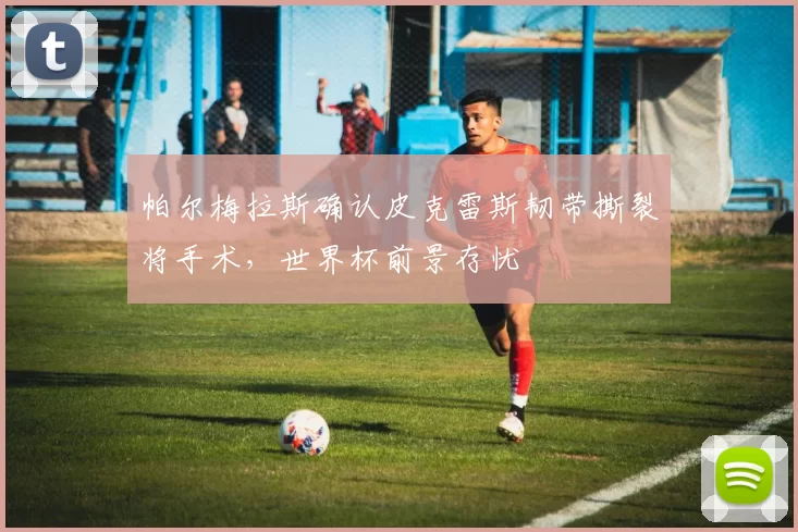 帕尔梅拉斯确认皮克雷斯韧带撕裂将手术，世界杯前景存忧