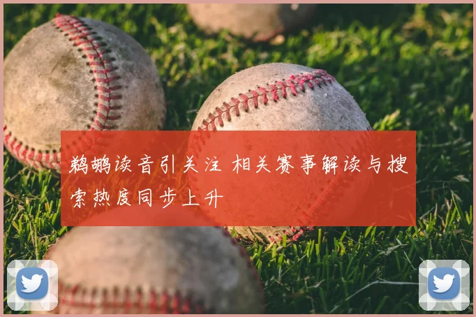 鹈鹕读音引关注 相关赛事解读与搜索热度同步上升