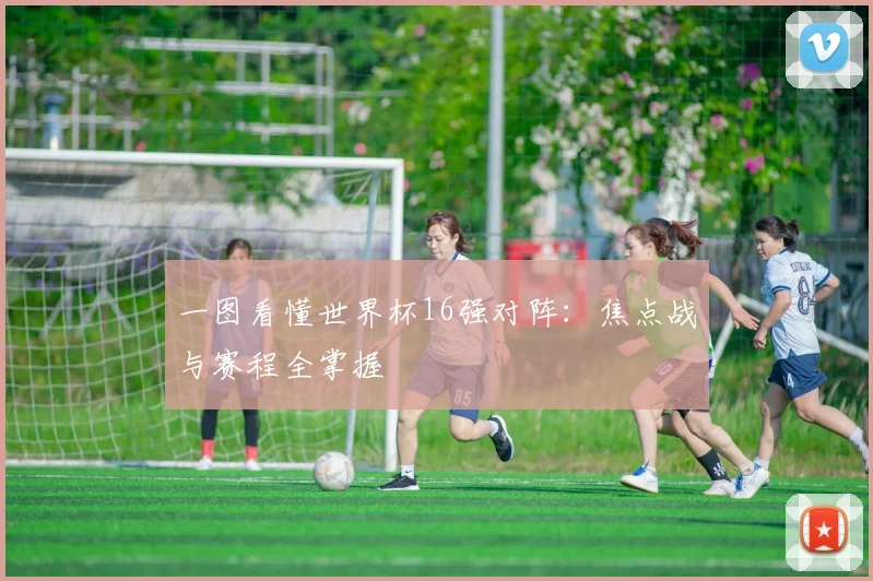 一图看懂世界杯16强对阵：焦点战与赛程全掌握