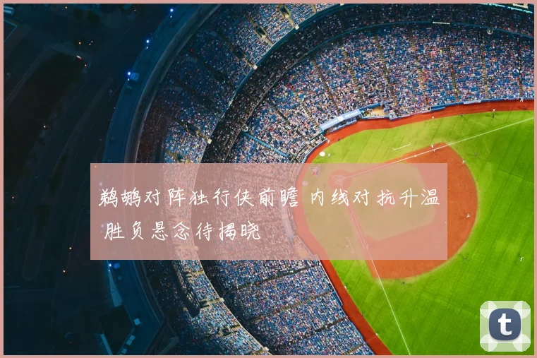 鹈鹕对阵独行侠前瞻 内线对抗升温 胜负悬念待揭晓