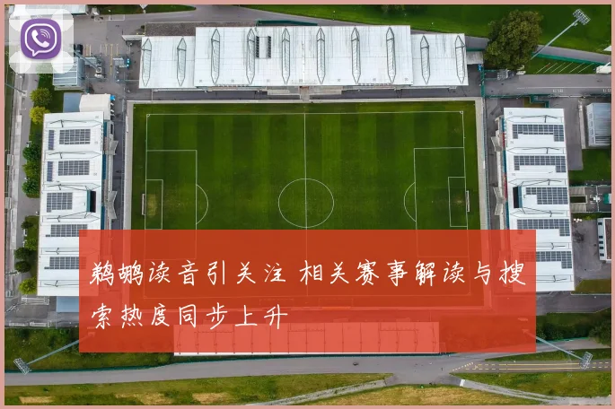 鹈鹕读音引关注 相关赛事解读与搜索热度同步上升