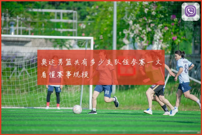 奥运男篮共有多少支队伍参赛一文看懂赛事规模