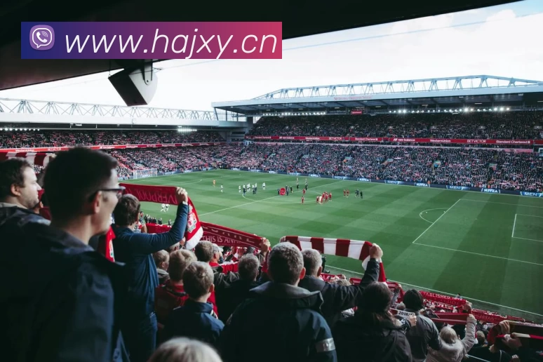 多媒体互动体验